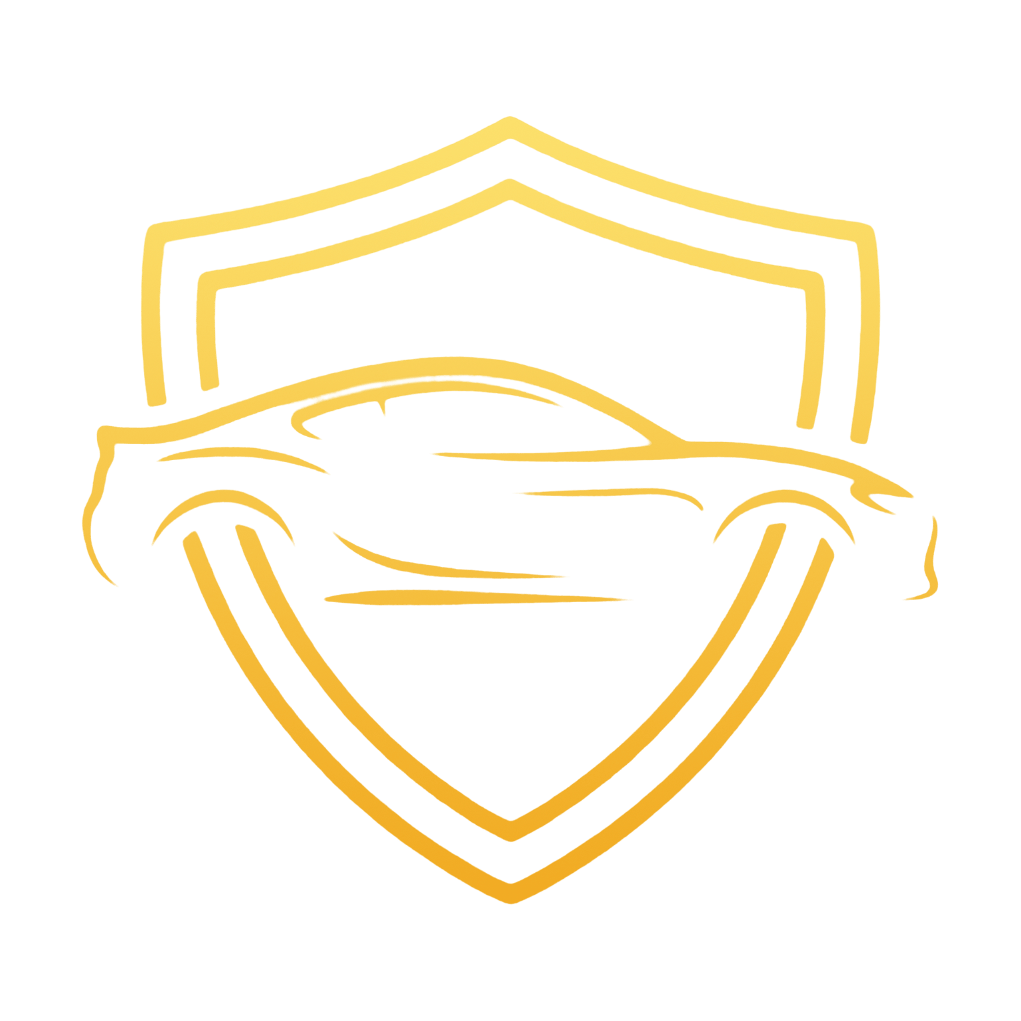 PPF Aesthetic Preservation Icon